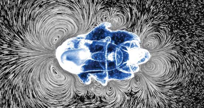 starfish larva making vorticies