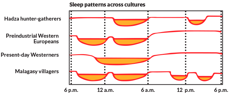 Sleep time comparison