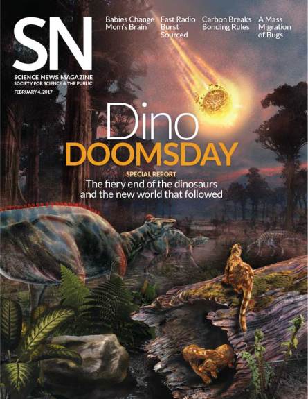 Cover of February 4, 2017 issue