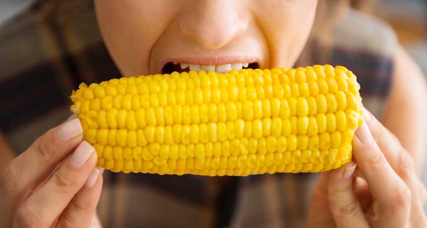 person eating corn on the cob