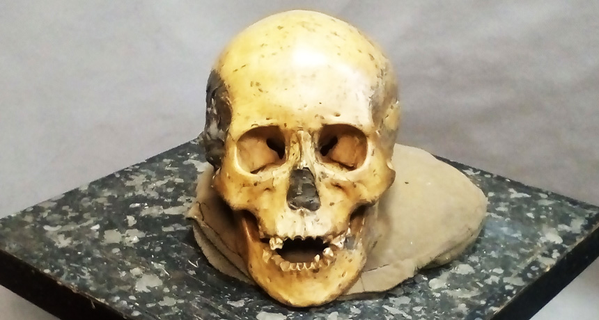 East Asian hunter-gatherer skull