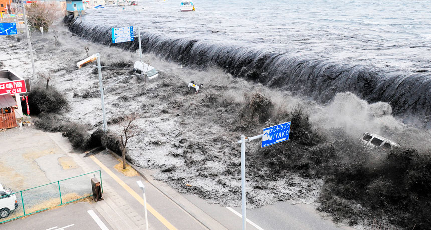 2011 Japan tsunami