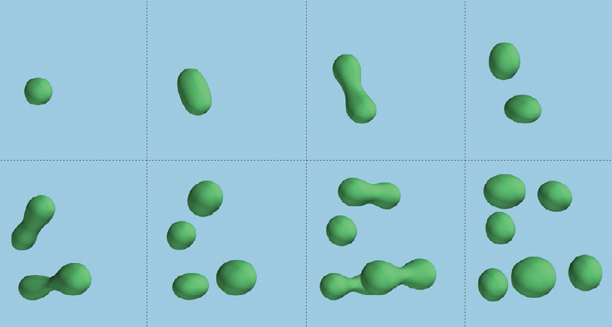 chemicals within a primordial soup