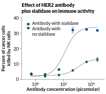 graph of HER2 anitibody plus sialidas on immune activity