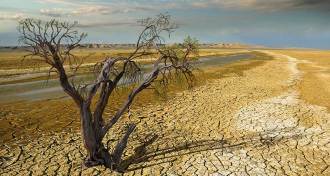 parched landscape