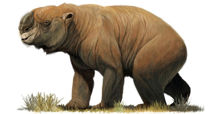 Diprotodon optatum