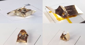 a robot with different origami exoskeletons