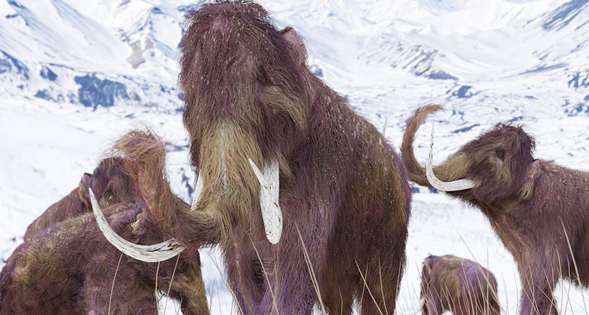 illustration of mammoths