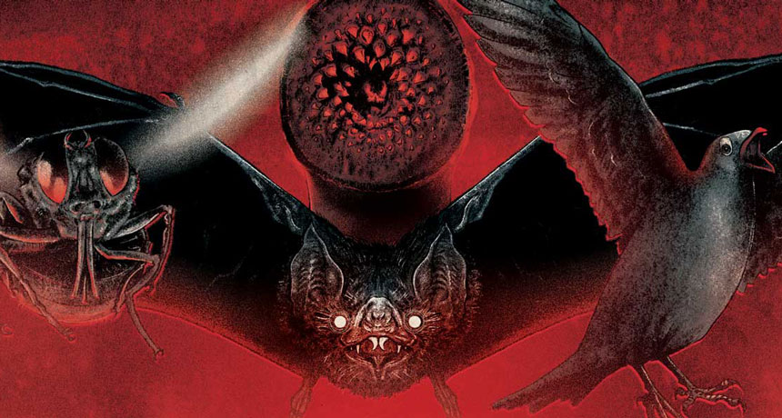 illustrations of vampires