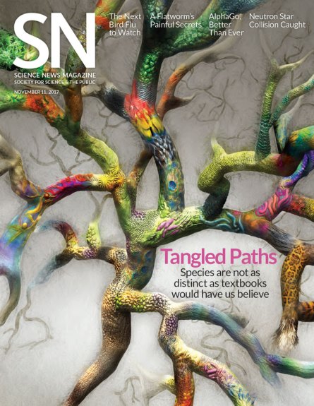 cover of November 11, 2017 issue