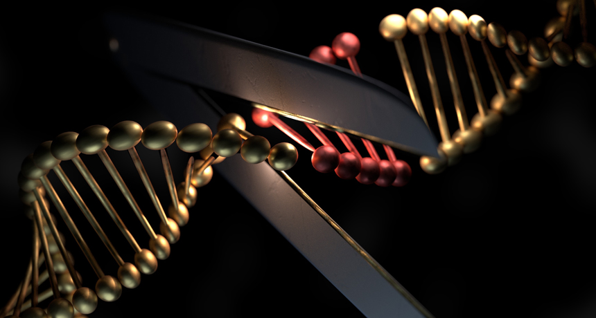 illustration of scissors cutting DNA