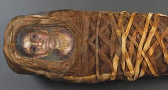 Hibbard mummy