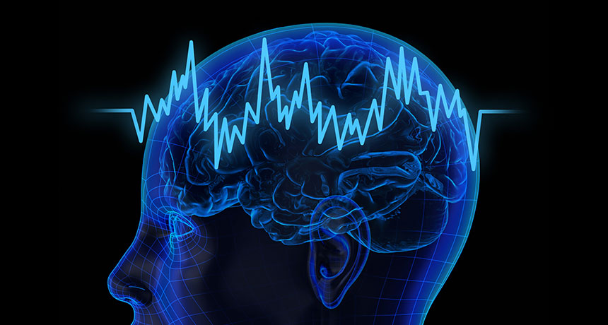 brain wave illustration