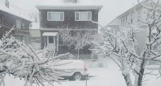 snowy house in Boston