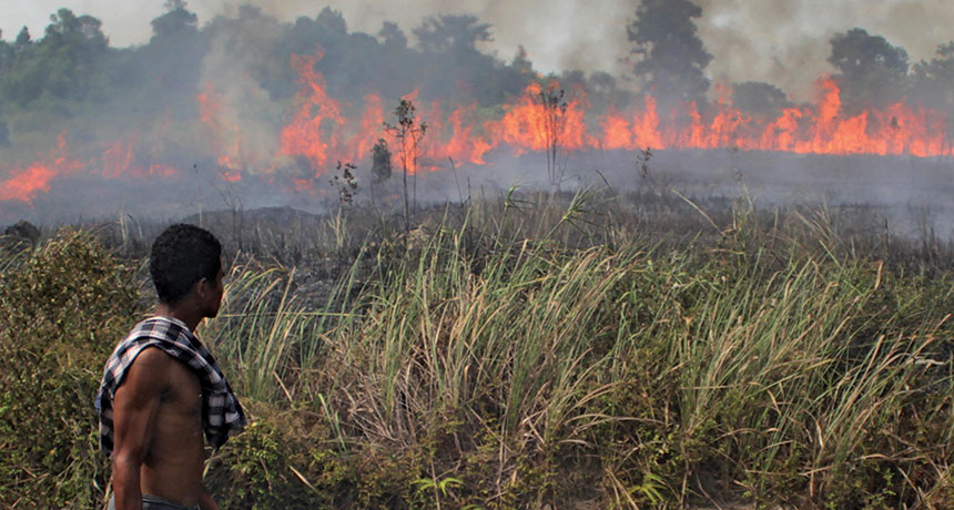 peatland fire in Indonesia