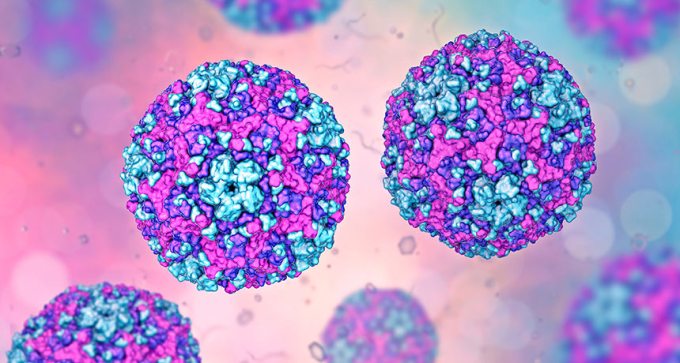 an illustration of coxsackieviruses