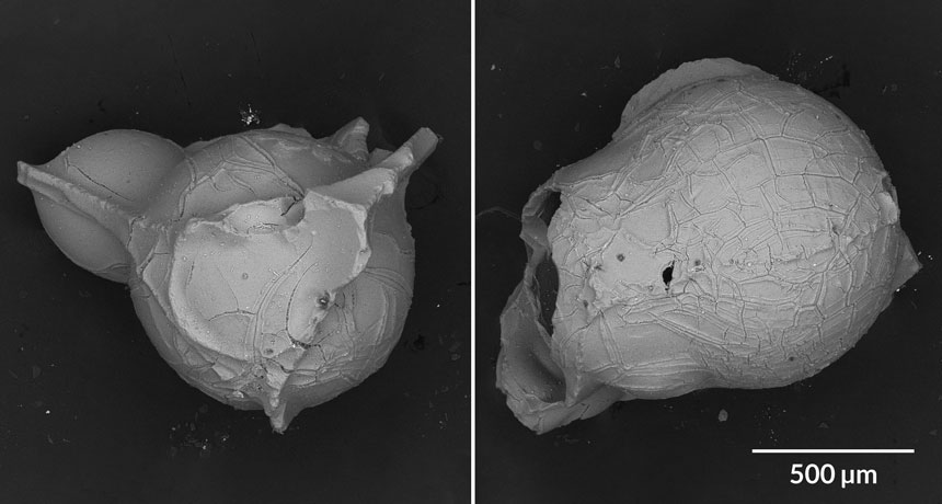 bread-crust bubble ash samples