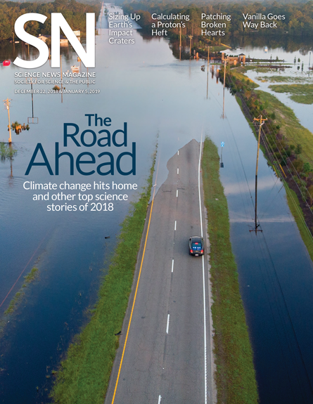 cover of the December 12, 2018 and January 5, 2019 issue
