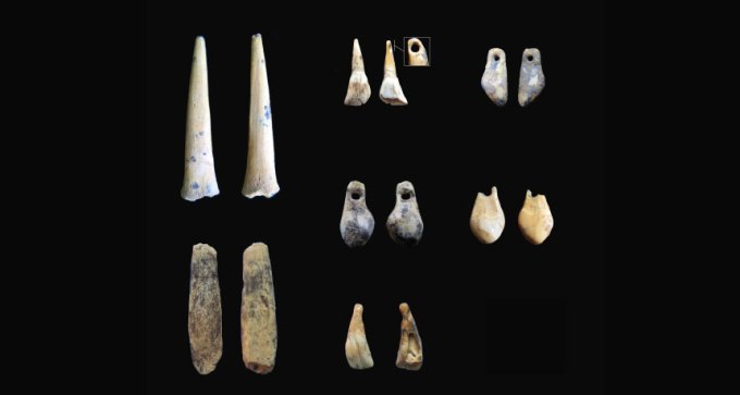 bone points and animal teeth