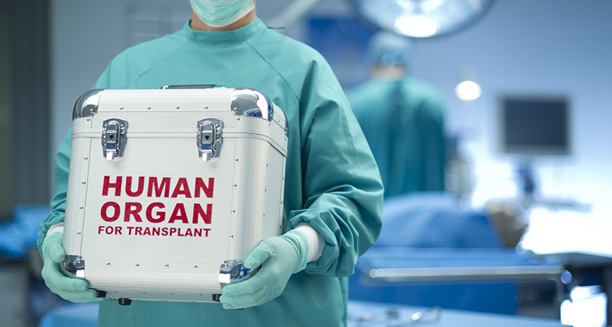doctor carrying donor organ