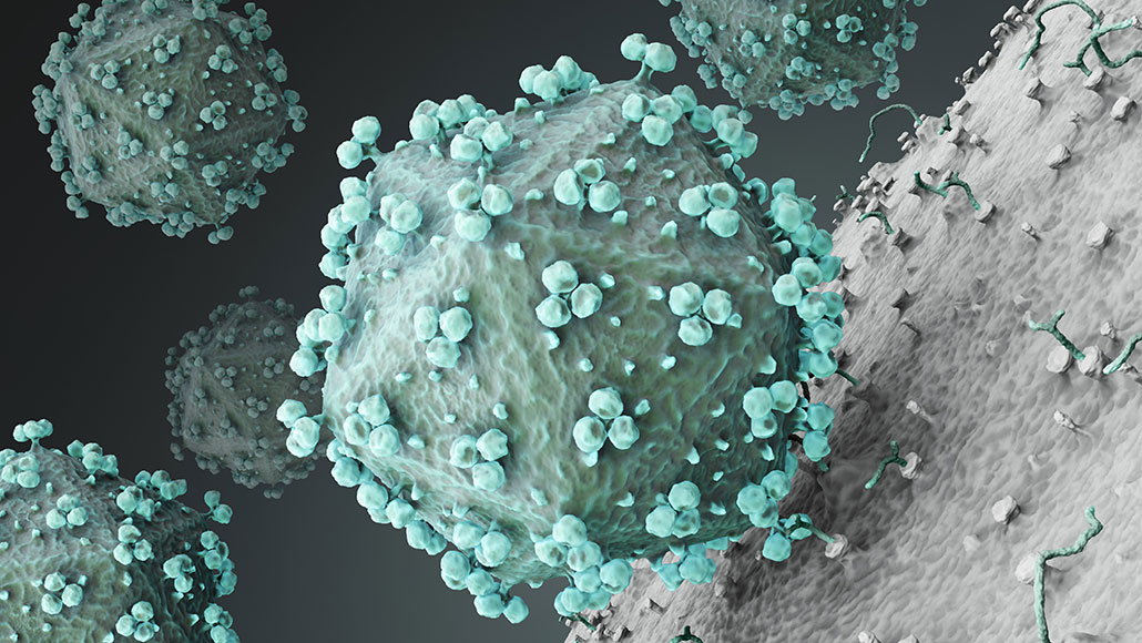 HIV virus particles