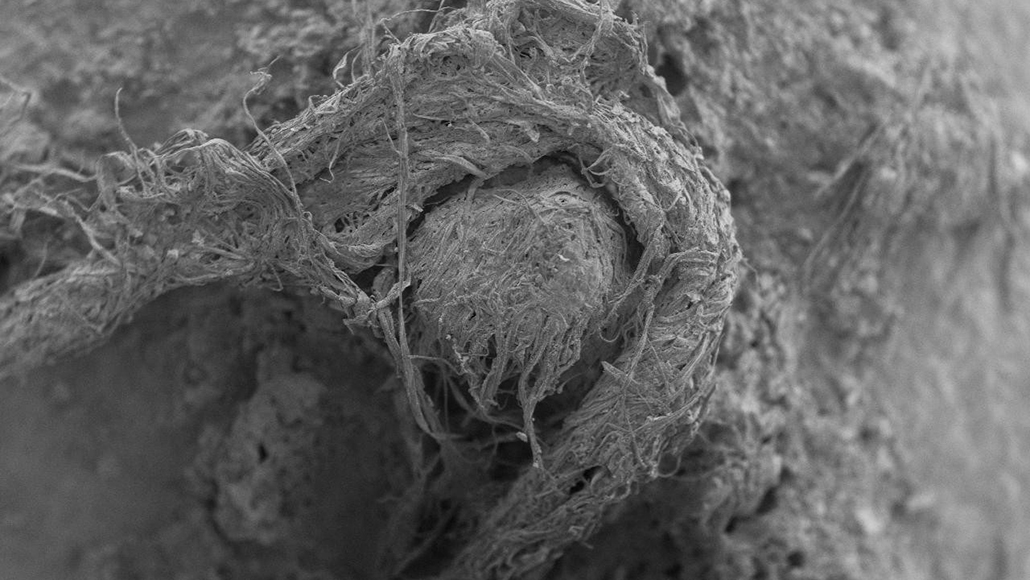 SEM image of Neandetal string