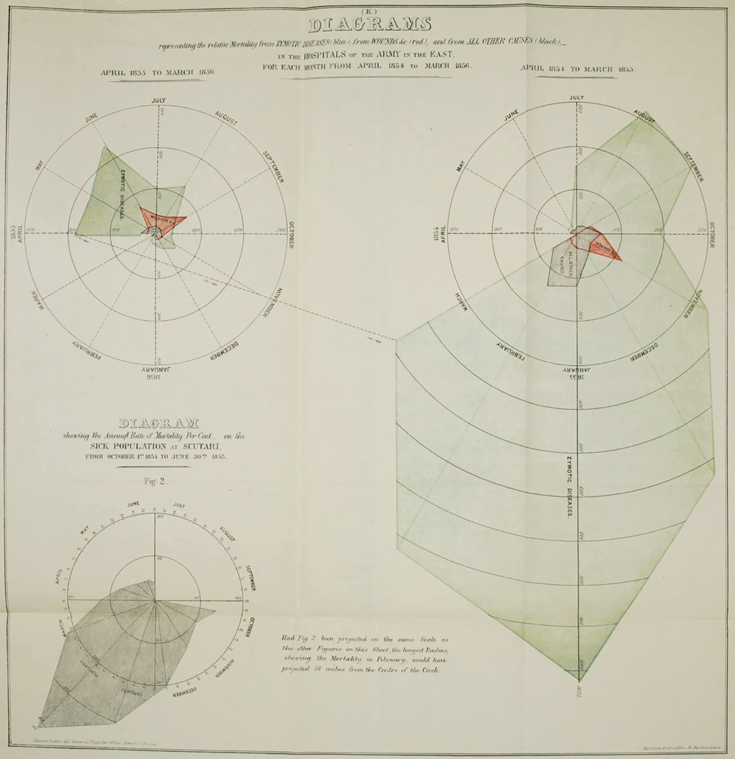 Bat’s wing diagram