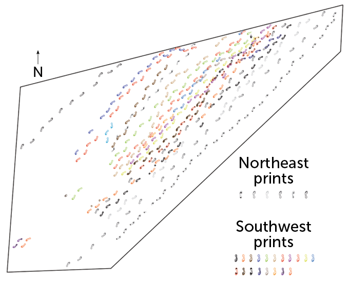 Ancient human footprints at Engare Sero map