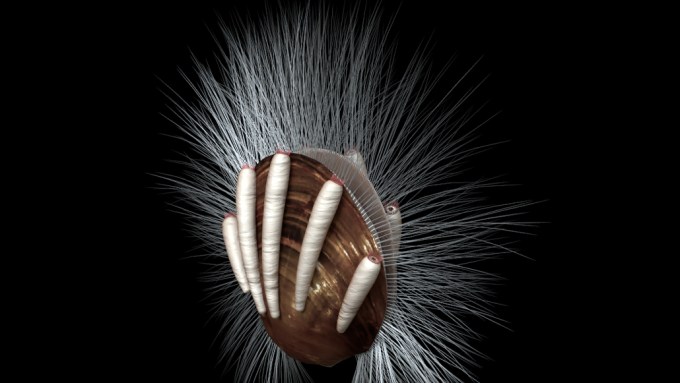 ancient brachiopod illustration