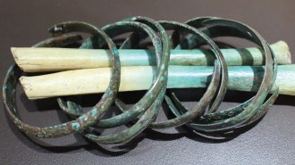 bones from ancient Iberian massacre