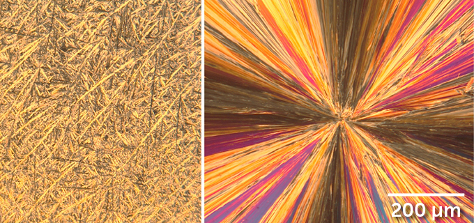 deltamethrin crystals in typical insecticide spray (left) and a new version (right)