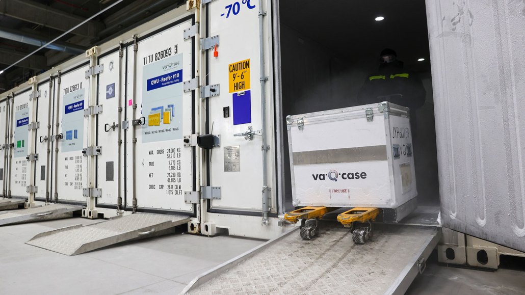 cold case for vaccine storage