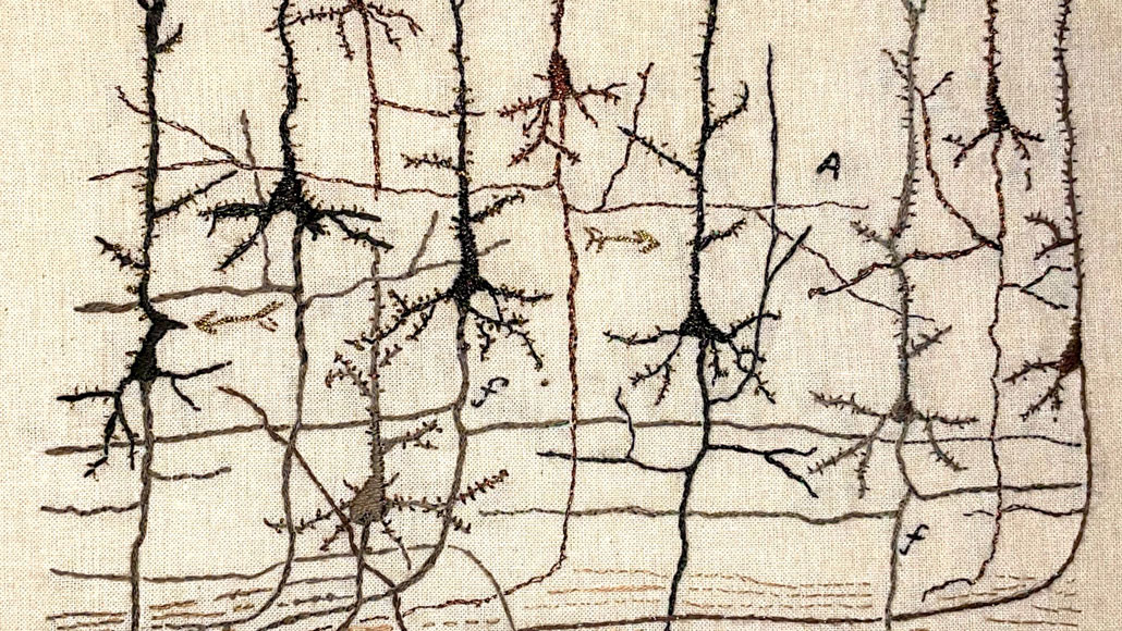 embroidery of pyramidal neurons