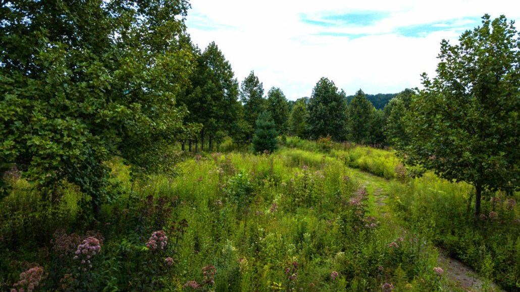 conservation burial ground for green burials