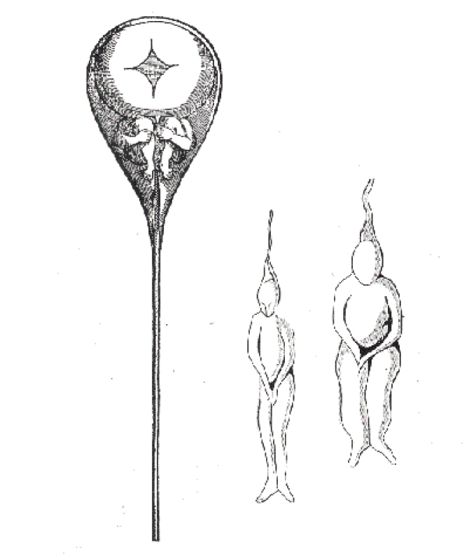 black and white illustration of humans growing inside a sperm