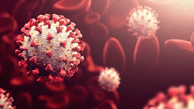 illustration of coronavirus particles in blood