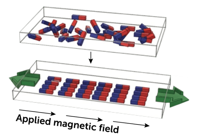 Two illustrations of the Cell Rover. The top image has several small blue and red rectangles randomly scattered in a white box. The bottom image has those same small rectangles in an organized grid, six across and four down.