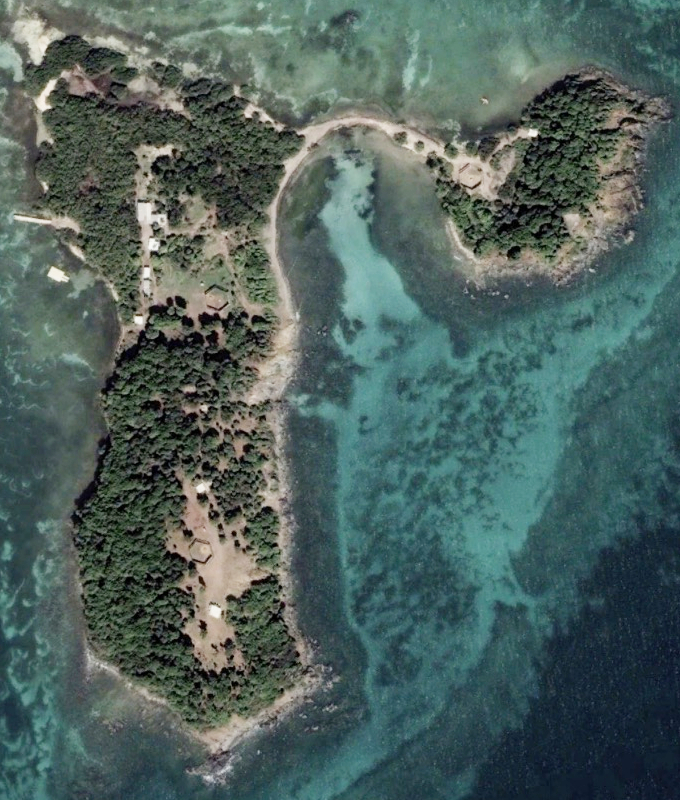 A satellite photo of Cayo Santiago seen before Hurricane Maria with trees and abundant shade to assist macaques.