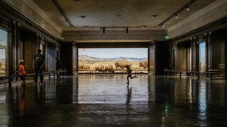 A child runs across the glossy floor in front of the bison diorama at the Natural History Museum of Los Angeles.
