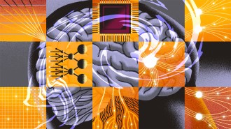A collage of illustrations of a brain, neurons and elements of computer chips.
