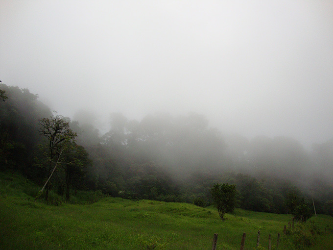 A fenced-in green pasture can be seen in the foreground, while ghostly cloud-shrouded trees loom in the background.