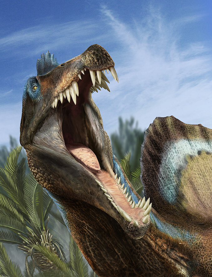 An illustration of a Spinosaurus with its jaw open, displaying many teeth