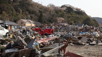 a devastated cityscape