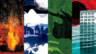 Montage of illustrations showing various times in our planet's history, from its fiery origins, through the dawn of life, dinosaurs and, finally, the present day. The final image shows a skyscraper surrounded by rising waters with a silhouette of a black sun on a red sky, indicating the perhaps unprecedented effects of climate change.