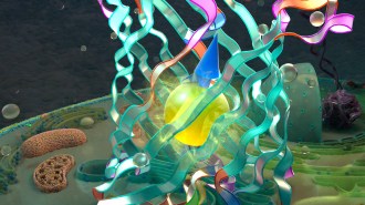 A cage of wiggly lines representing a protein structure surrounds a glowing sphere.