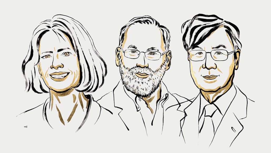 Line sketches of the three winners of the 2025 Nobel Prize in physiology and medicine from left to right: Mary Brunkow, Fred Ramsdell, Shimon Sakaguchi, The trio won for discovering a type of immune cell.