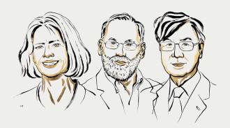 Line sketches of the three winners of the 2025 Nobel Prize in physiology and medicine from left to right: Mary Brunkow, Fred Ramsdell, Shimon Sakaguchi, The trio won for discovering a type of immune cell.