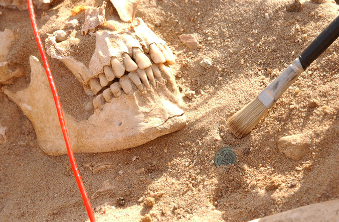 A human skull rests in dirt next to a brush.